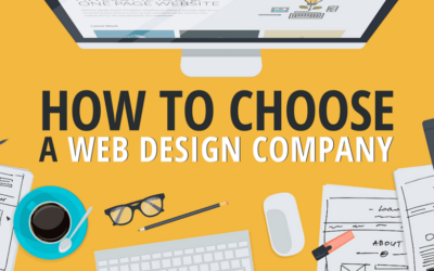 What should I look for when deciding on a website designer?