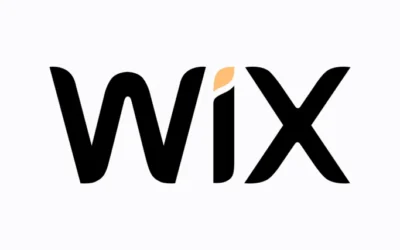 What are the disadvantages to using website builders such as Wix ?